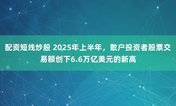 配资短线炒股 2025年上半年，散户投资者股票交易额创下6.6万亿美元的新高