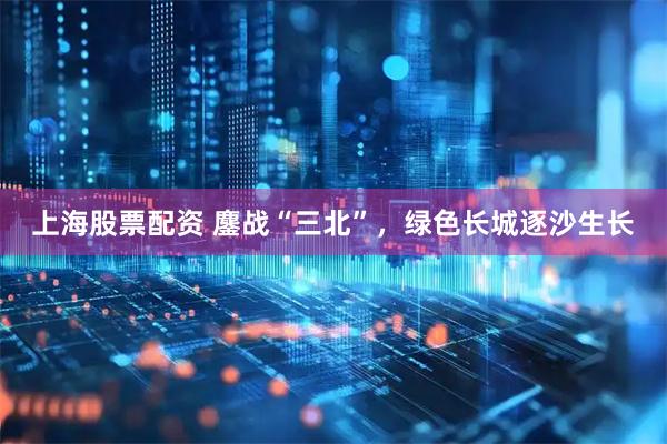 上海股票配资 鏖战“三北”，绿色长城逐沙生长